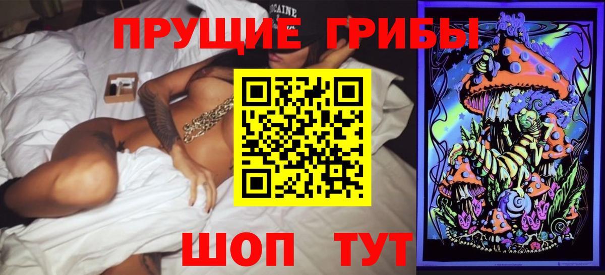 Псилоцибиновые грибы GOLDEN TEACHER Всеволожск