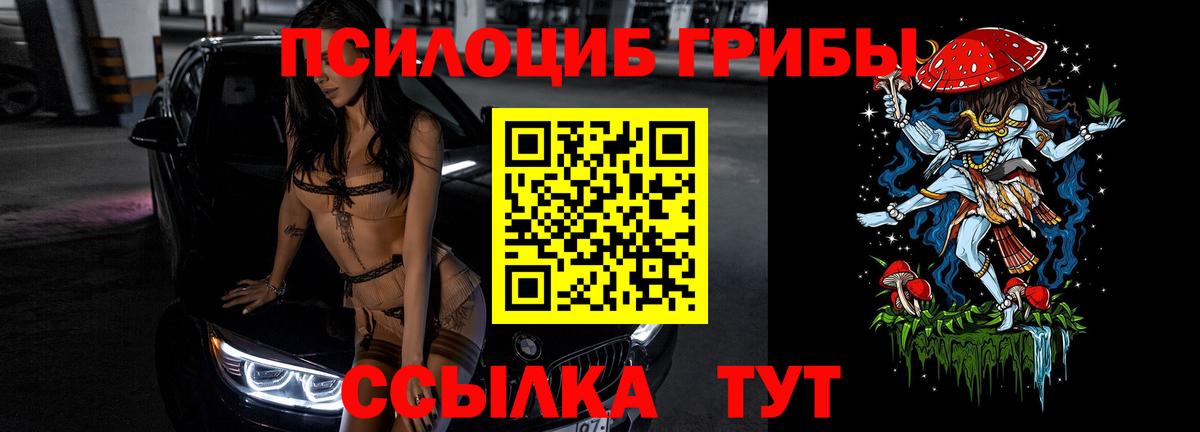 Всеволожск  Галлюциногенные грибы Psilocybe  Вход с VPN 